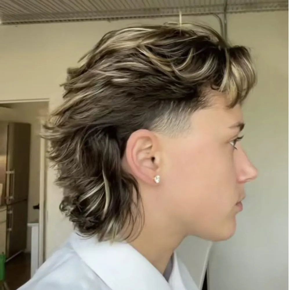 Wolf Cut Mullet